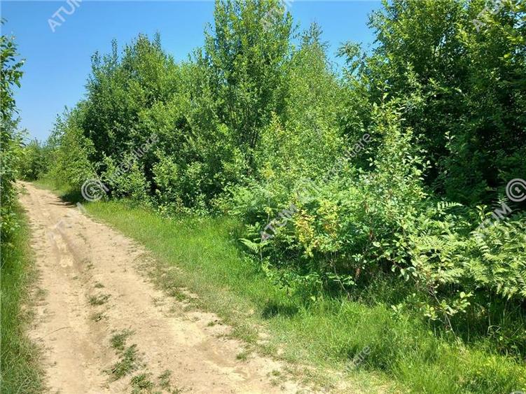 Teren Construcții intravilan de 3900 mp, în Porumbacu de Sus