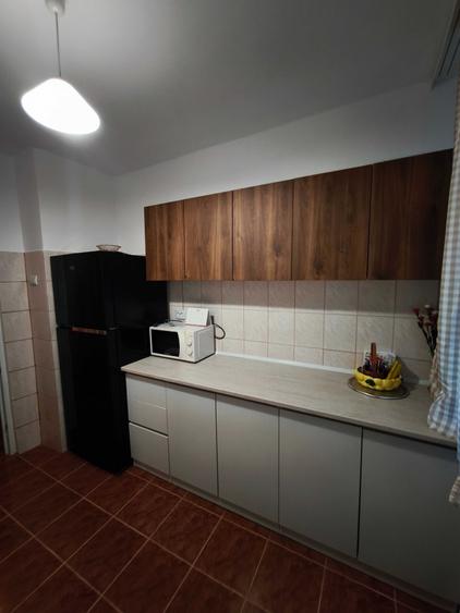 Apartament cu 2 camere semidecomandat în Brotăcei