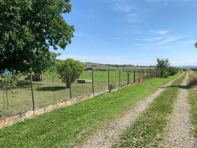 Teren de 7726 mp, în Vidrasău