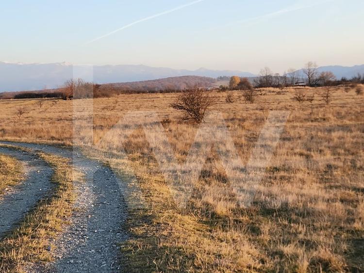 Teren agricol extravilan de 560 mp, în Cisnădie