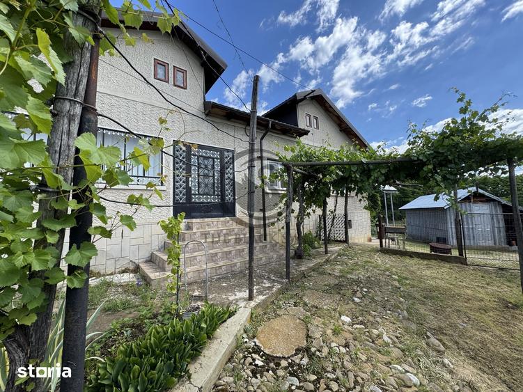 Casă cu 5 camere cu Teren 3117 Mp în Dumbrăvești