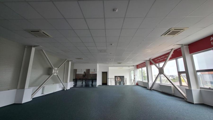 HALA depozitare, showroom cu utilitati – Drumul Garii Otopeni - 4