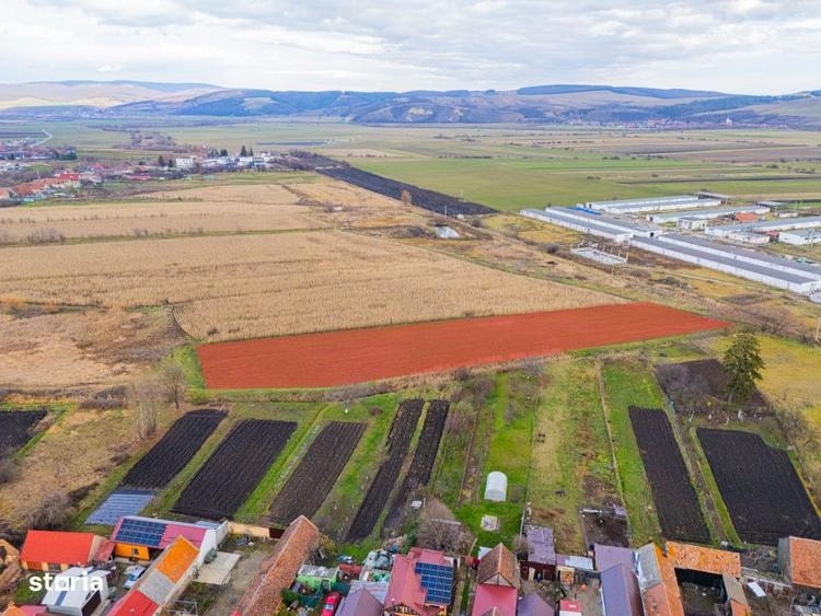 Teren extravilan Bod, 10.000 mp, acces DE 290, zona spre Harman - 12