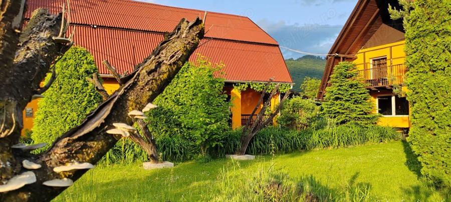 Casa de Vacanta Sovata - 2