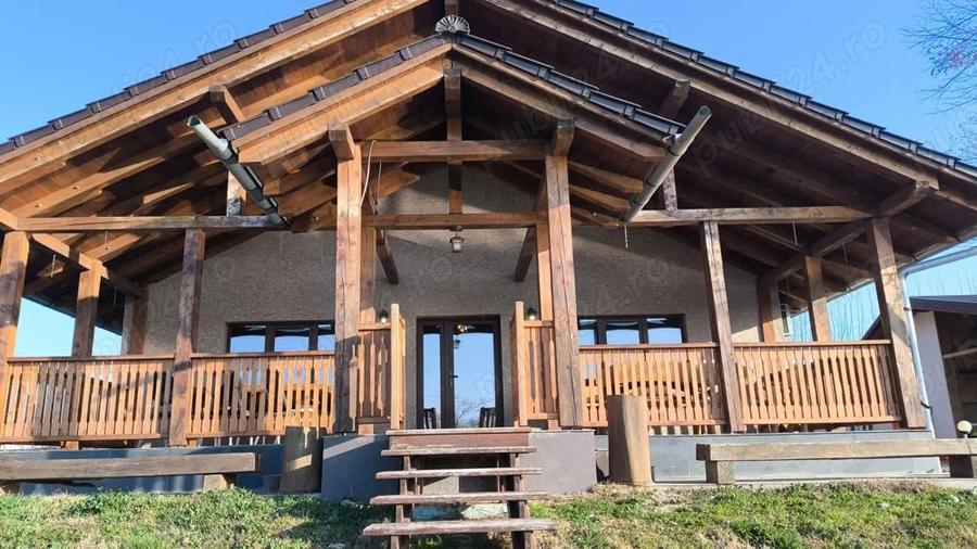 Proprietate de poveste in Sannicolau Mare - 8