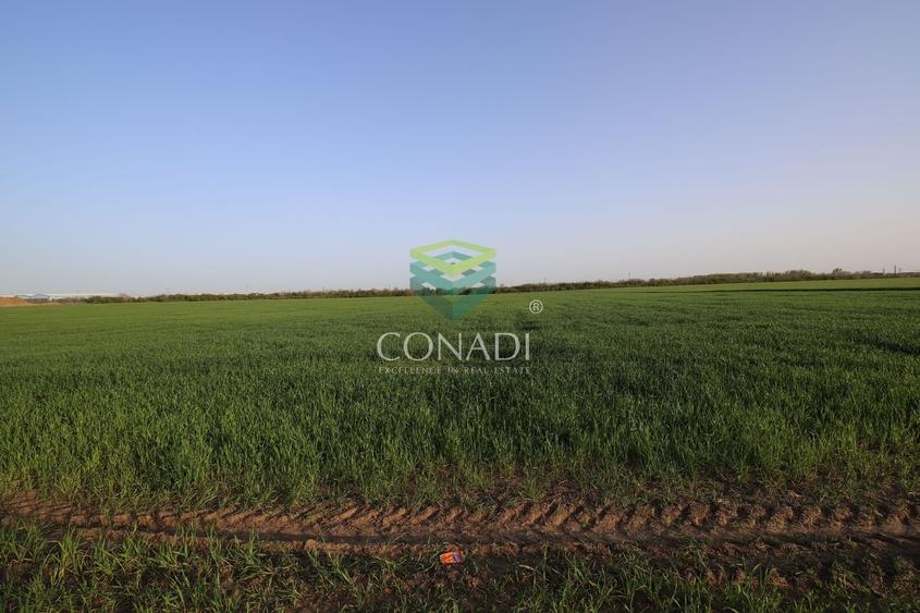 Teren Clinceni 5.792 mp - 4