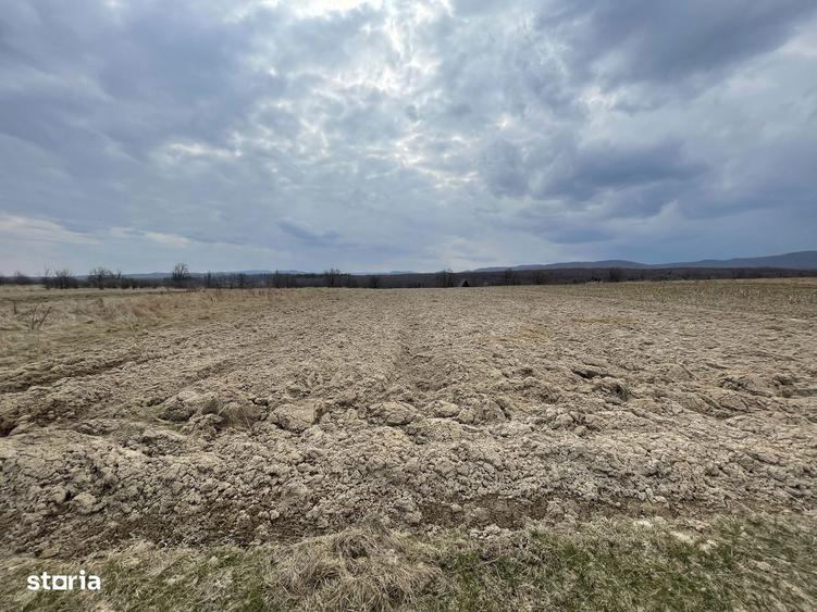 TEREN EXTRAVILAN | 23 ARI | HORODNIC DE SUS - 8