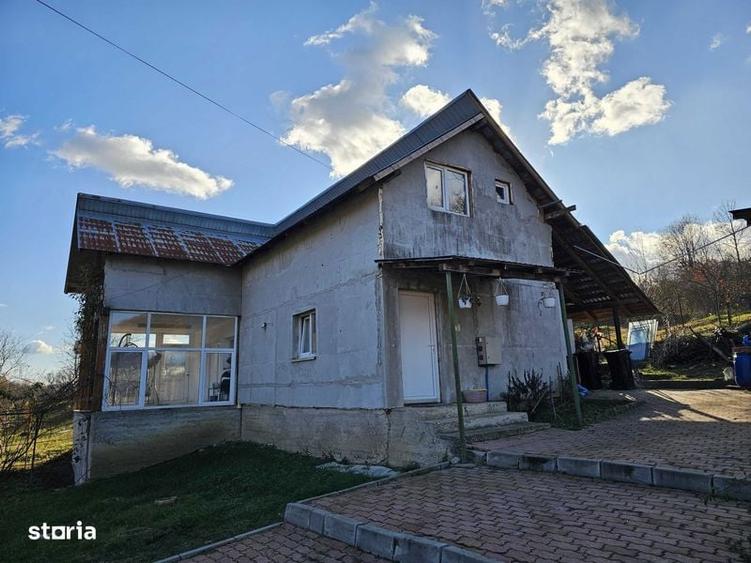 Casa de vacanta in Cotmeana, Arges - 7