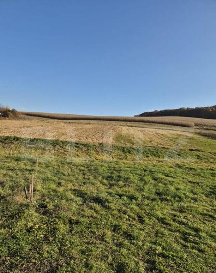 Proprietate de vanzare in Bardesti cu 1900 mp teren - 5