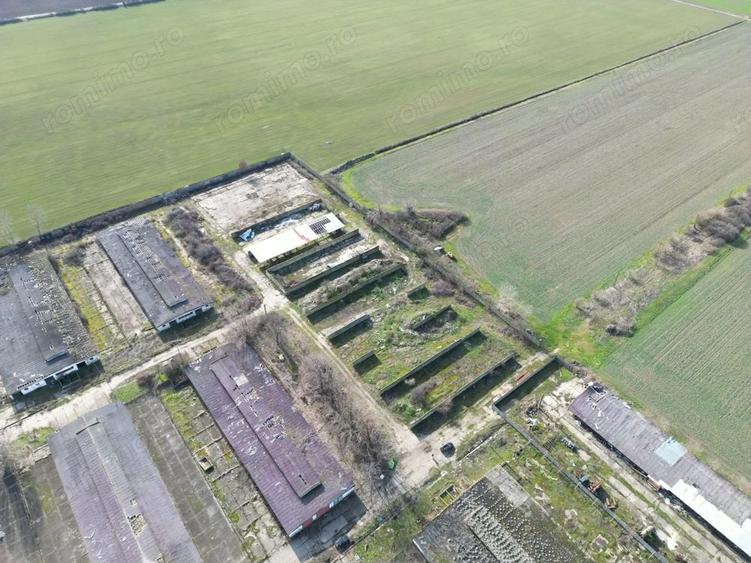 Ansamblu hale 4000mp pe teren 10.000 cu platforma betonata - 3