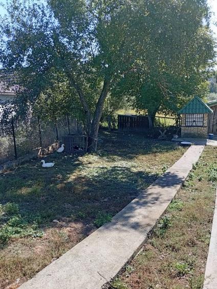 Vand casa + teren 5500mp Cacica, Langa Suceava - 5