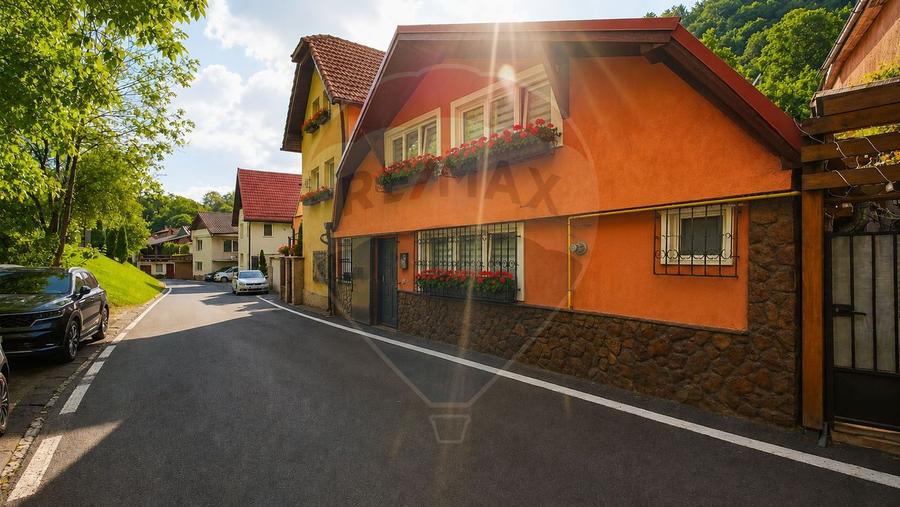 TRAIESTE LA POALELE PADURII!CASA 3 CAMERE APROAPE DE PTR. LUI SOLOMON - 3