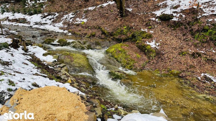 Cabana De Vanzare Strungari-Tonea, Jud. Alba - 3