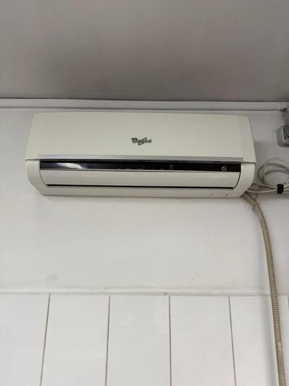 Spatiu comercial piata Tractorul,Avicod,actual magazin vanzare produse carne pui - 13