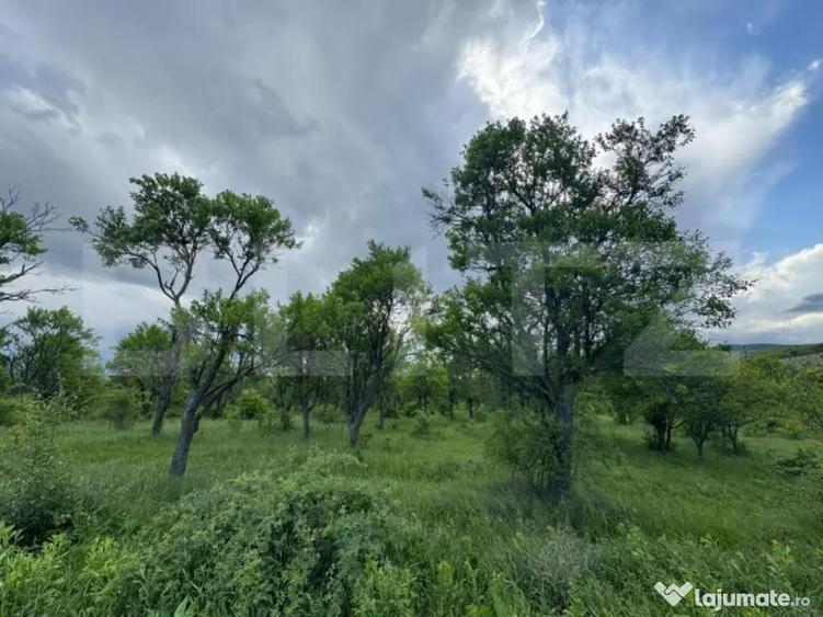 Teren extravilan de vanzare, 5305 mp, in apropiere de Ha?eg - 1