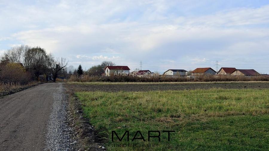 Teren Extravilan 15.000 mp Prejmer