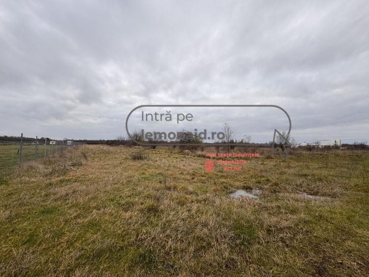 Teren Șag - intravilan agricol | 3.200 mp - 3