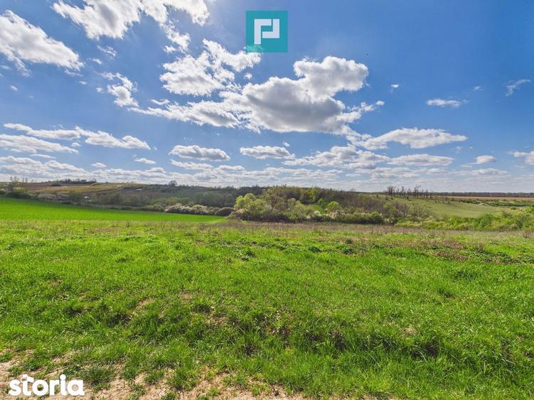 Casa cu teren 1.151mp la 25 km de Oradea, Sisterea - 11