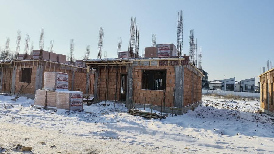 Vile individuale padurea Rosu - 4