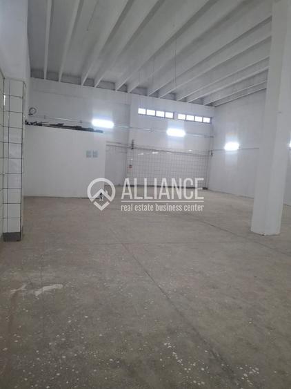 ZONA INDUSTRIALA (COD04)-Hala 270 mp ideal service auto - 3