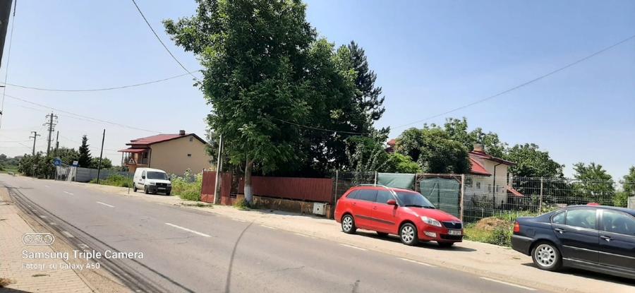 Teren 1000mp Dragomiresti-Vale - 9