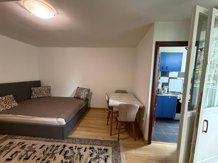 Apartament cu o cameră I Str. Parâng - 7