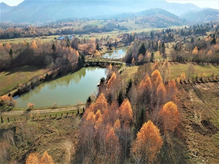 Teren intravilan Rasnov Glajerie cu lac pe el si priveliste deosebita - 9