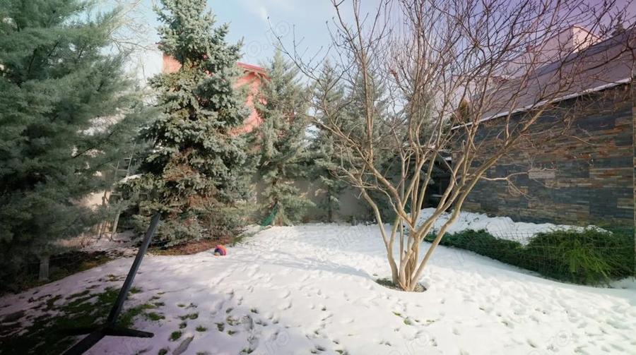 Vila Premium Damaroaia | Str. Garofitei - 1