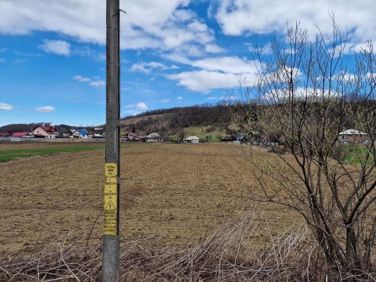 Teren intravilan in Sanduleni/Bacau de vanzare - 6