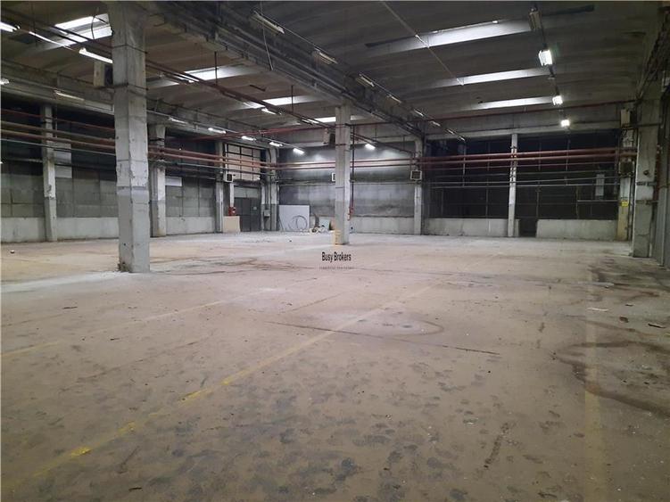 Spatiu Industrial - 5500 mp - Productie - Depozitare - 1