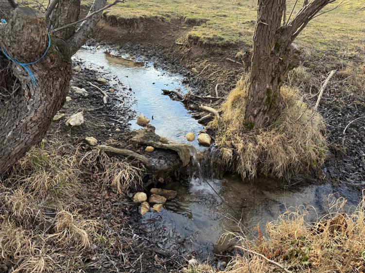 Teren intravilan 500 mp sau 1000 mp în Zarnesti –Tohanita cu parau(izvor) - 6