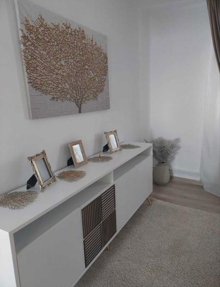 Vand casa vacanta Bucsoaia-Frasin - 4