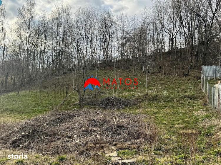 Casa de vanzare Poiana Campina, Prahova | teren 1554 mp - 3