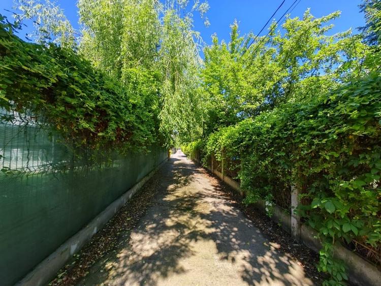 Vila in Pipera, 1500 mp teren - cel mai bun pret al zonei, vila la pret de teren - 21