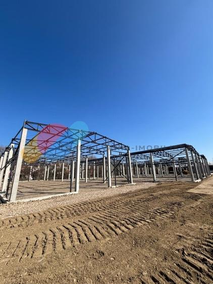 Hale de vanzare – 600 mp, open space, acces TIR, zona intrare Baciu - 6