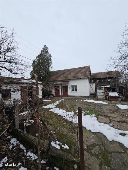 Casa Uileacu de Cris - 3