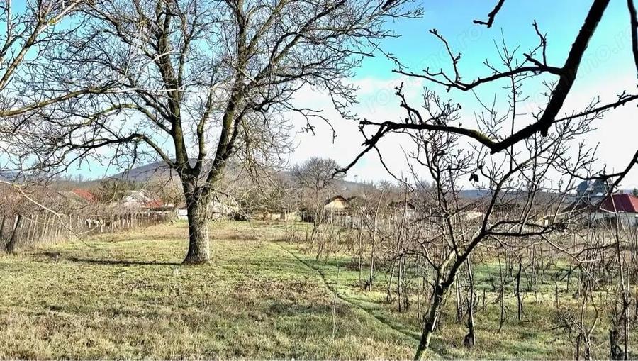 Casa de Vanzare 2000 mp - 7