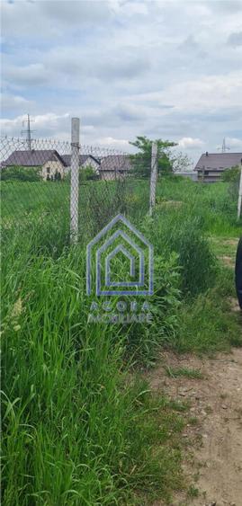 Teren , Sf Ilie Nou, zona Profi - 3