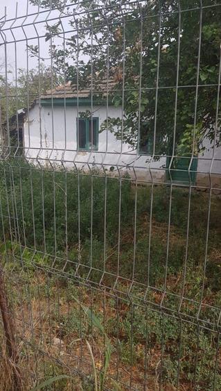 Casa batraneasca Pogoanele - 5