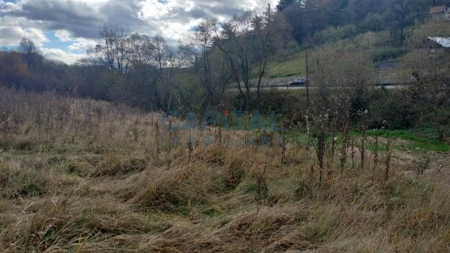 Teren intravilan de vanzare cu Autorizatie de constructie, Feleacu - 6