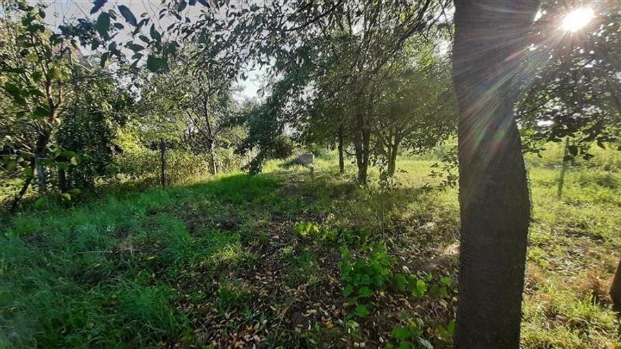 De vanzare teren 16 arii, Santana de Mures - 4