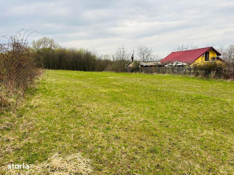 Teren intravilan Nicolae Corches/zona Buna Ziua - 2