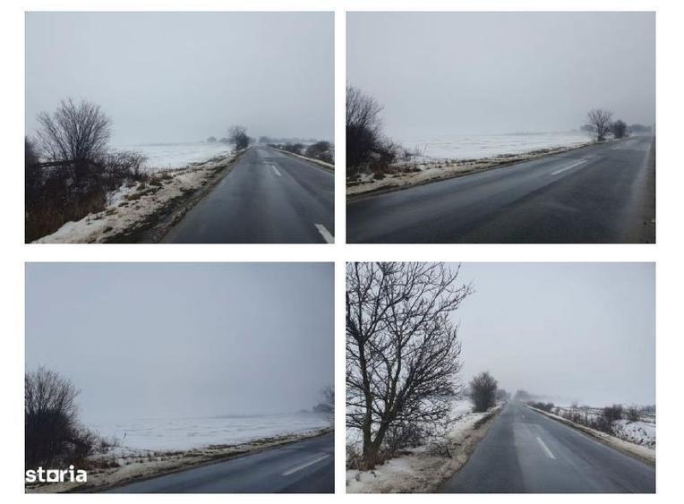 Teren extravilan Comuna Iratosu, judetul Arad - 2