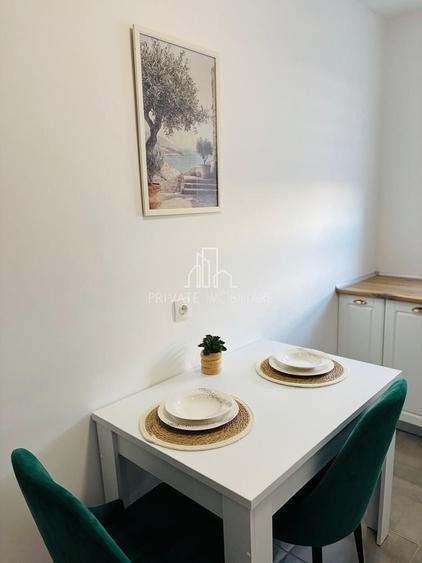 Apartament 2 Camere Mobilat/Utilat de Inchiriat, Maurer Residence - 7