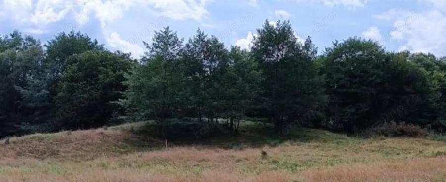 Teren de 17000 mp, în Nucșoara