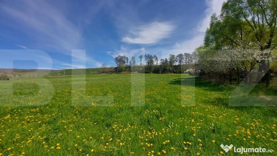 2900 mp teren intravilan in Ghidfalau I Pe malul Oltului I O - 2
