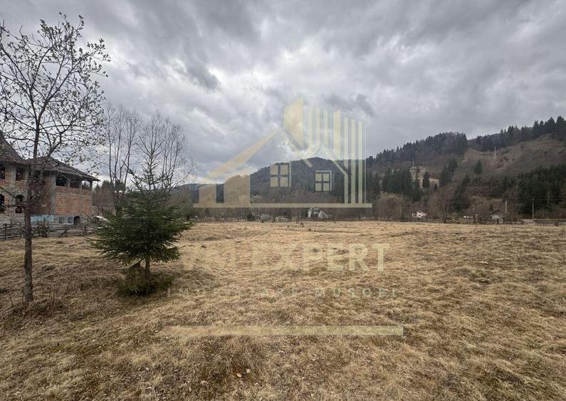 TEREN INTRAVILAN 500 MP SATIC- RUCAR - 9