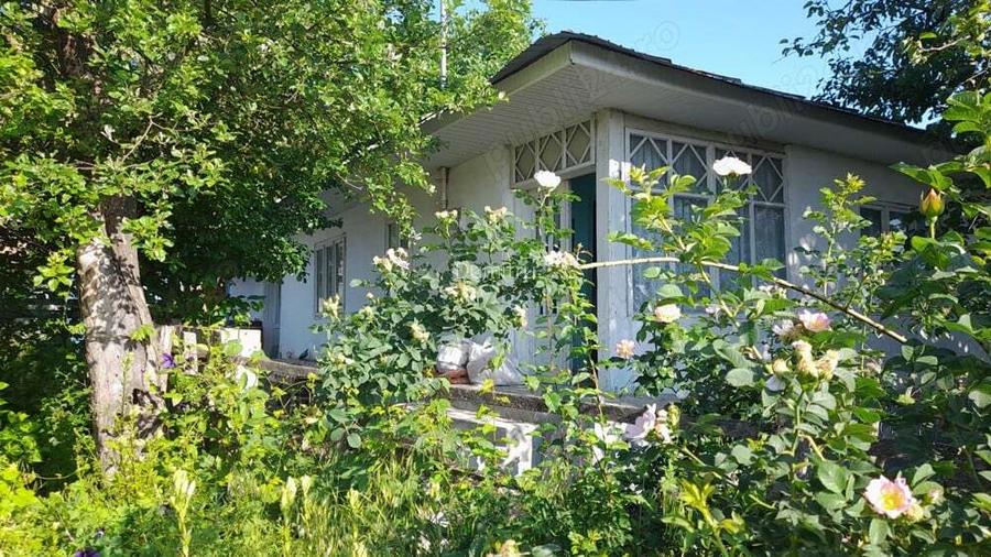 Casa, teren intravilan si extravilan, padure Casa, teren intravilan si extravilan, padure