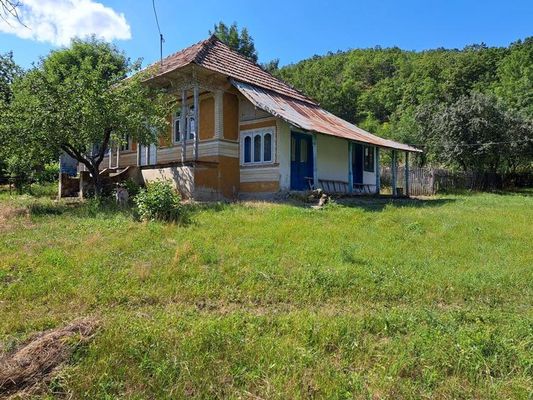 Proprietate spre vanzare 20000m2 - 1
