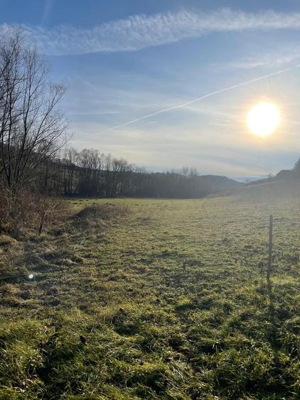 Vand teren 4200 mp ideal pt casa de vacanta in Varciorog - 6